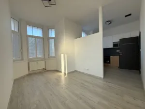 Pronájem bytu 1+kk, Ústí nad Labem - Střekov, Žukovova, 29 m2