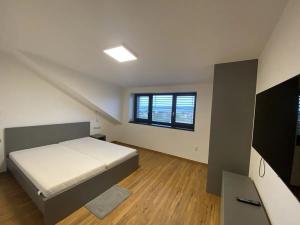 Prodej bytu 4+kk, Troubsko, Pod vinohrady, 210 m2