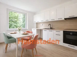 Pronájem bytu 3+1, Karviná - Nové Město, Závodní, 69 m2