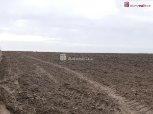 Prodej pozemku pro bydlení, Černouček, 10842 m2