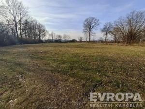 Prodej zemědělské usedlosti, Měčín - Petrovice, 160 m2