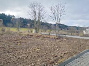 Prodej pozemku, Toužim - Třebouň, 839 m2