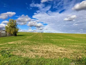 Prodej pozemku pro bydlení, Plenkovice, 800 m2