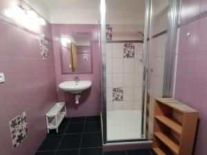 Pronájem bytu 1+kk, Zábřeh, U Horního rybníka, 30 m2
