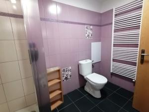 Pronájem bytu 1+kk, Zábřeh, U Horního rybníka, 30 m2