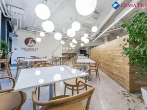 Pronájem kanceláře, Praha - Libeň, Českomoravská, 473 m2