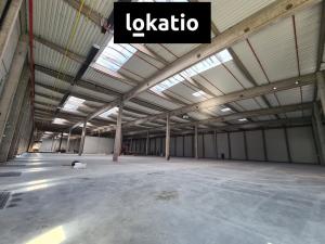 Pronájem skladu, Cheb, Logistická, 27326 m2