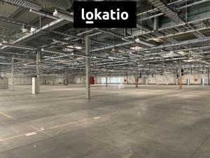 Pronájem skladu, Plzeň, U Nové Hospody, 16000 m2