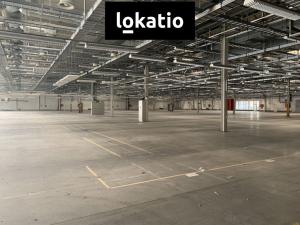 Pronájem skladu, Plzeň, U Nové Hospody, 16000 m2