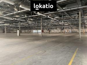 Pronájem skladu, Plzeň, U Nové Hospody, 16000 m2