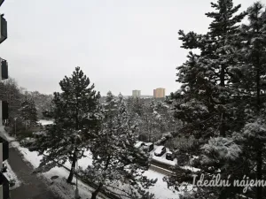 Pronájem bytu 2+1, Brno - Kohoutovice, Voříškova, 52 m2