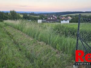 Prodej pozemku pro bydlení, Ježkovice, 3053 m2