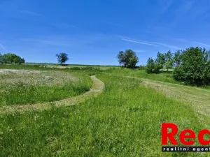 Prodej pozemku pro bydlení, Ježkovice, 3053 m2