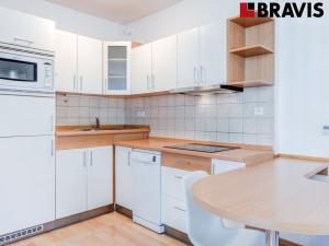 Pronájem bytu 1+kk, Brno, Vídeňská, 48 m2