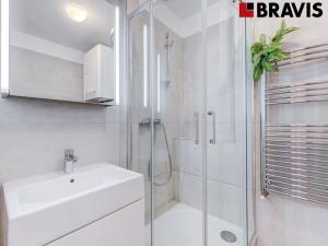 Pronájem bytu 1+kk, Brno, Vídeňská, 48 m2