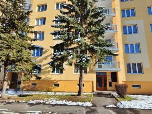 Prodej bytu 1+1, Chomutov, Zadní Vinohrady, 36 m2