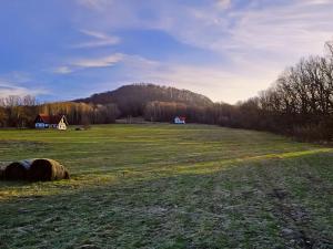 Prodej pozemku pro bydlení, Žandov, 3647 m2