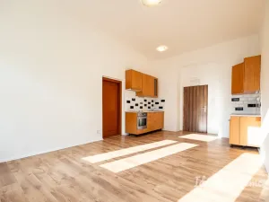Pronájem bytu 2+kk, Praha - Žižkov, Seifertova, 46 m2