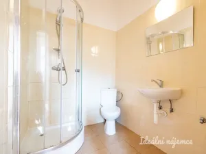 Pronájem bytu 2+kk, Praha - Žižkov, Seifertova, 46 m2