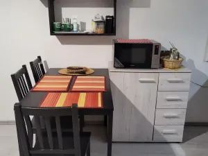 Pronájem bytu 1+kk, Ostrava - Moravská Ostrava, Lechowiczova, 30 m2