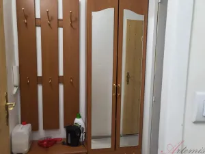 Pronájem bytu 1+kk, Ostrava - Moravská Ostrava, Lechowiczova, 30 m2