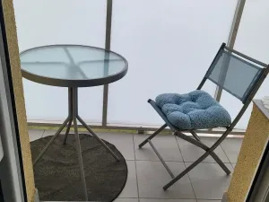 Pronájem bytu 1+kk, Ostrava - Moravská Ostrava, Lechowiczova, 30 m2