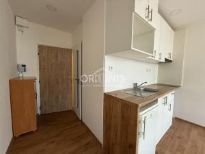 Pronájem bytu 1+kk, Chomutov, Seifertova, 22 m2