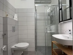 Pronájem bytu 1+kk, Třešť, A. Dvořáka, 32 m2