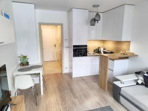 Prodej bytu 1+kk, Praha - Vysočany, Bassova, 28 m2