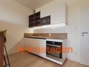 Pronájem bytu 1+kk, Plzeň - Jižní Předměstí, Magisterská, 28 m2