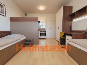 Pronájem bytu 1+kk, Plzeň - Jižní Předměstí, Magisterská, 28 m2