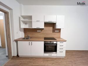 Pronájem bytu 2+kk, Duchcov, Teplická, 45 m2