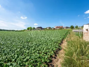 Prodej pozemku pro bydlení, Dobrovice - Úherce, 1121 m2