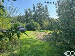 Prodej rodinného domu, Vejvanovice, 100 m2