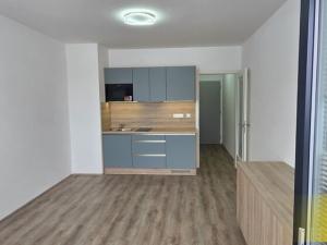 Pronájem bytu 1+kk, Brno - Zábrdovice, 33 m2