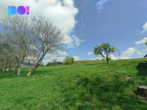 Prodej chalupy, Kozlovice, 155 m2