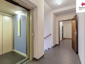 Pronájem bytu 2+kk, Plzeň, U Velkého rybníka, 52 m2