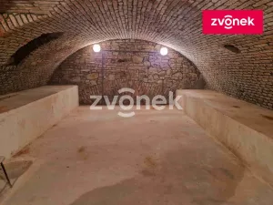 Pronájem obchodního prostoru, Uherské Hradiště, 650 m2