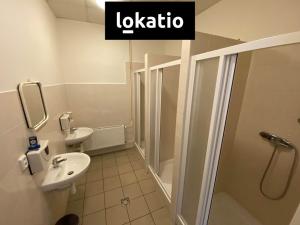 Pronájem skladu, Olomouc, 405 m2