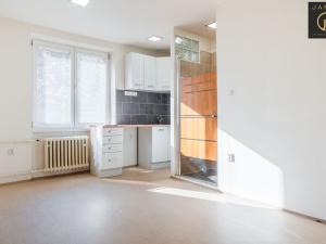 Prodej bytu 1+kk, Praha - Hloubětín, Zelenečská, 22 m2