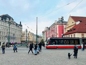 Pronájem obchodního prostoru, Praha - Nové Město, náměstí Republiky, 250 m2