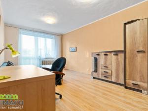 Pronájem bytu 2+1, Staré Město, Kopánky, 56 m2