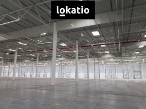 Pronájem skladu, Ostředek, 4000 m2