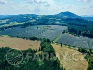 Prodej sadu/vinice, Plzeň, 1000000 m2