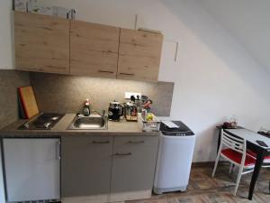 Pronájem bytu 1+kk, Karlovy Vary, Svahová, 22 m2