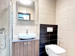 Pronájem bytu 1+kk, Brno, Táborská, 40 m2