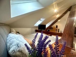 Prodej bytu 1+kk, Šternberk, Panská, 47 m2