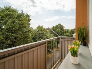 Prodej bytu 2+1, Olomouc - Hodolany, Smrčkova, 60 m2