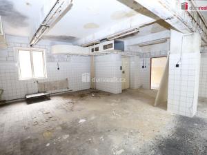 Prodej komerční nemovitosti, Karlovy Vary - Rybáře, Sokolovská, 600 m2