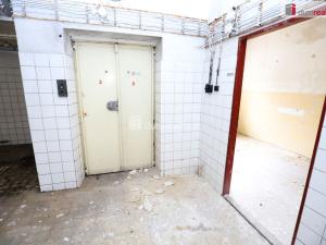 Prodej komerční nemovitosti, Karlovy Vary - Rybáře, Sokolovská, 600 m2